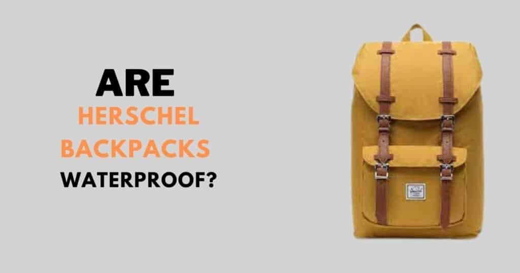 Are Herschel Backpacks Waterproof Guide to FAQs