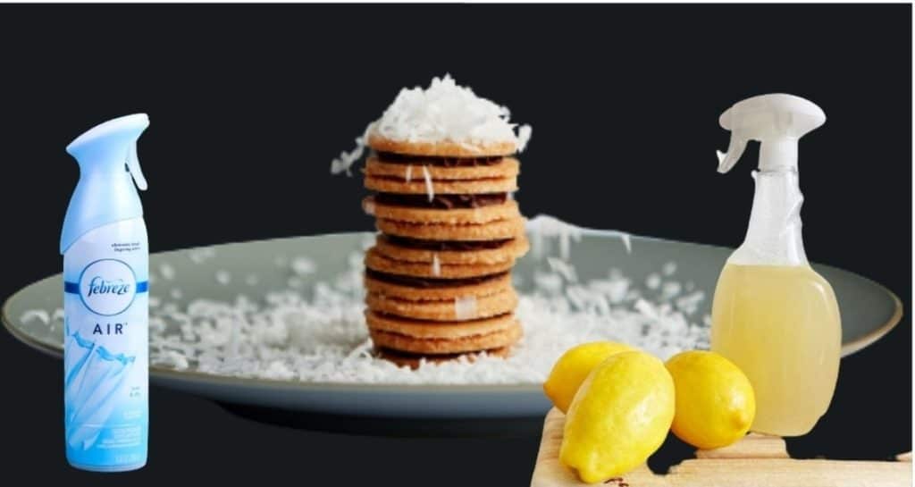 How to Get Smell Out of Backpack Using 3 Easy Methods