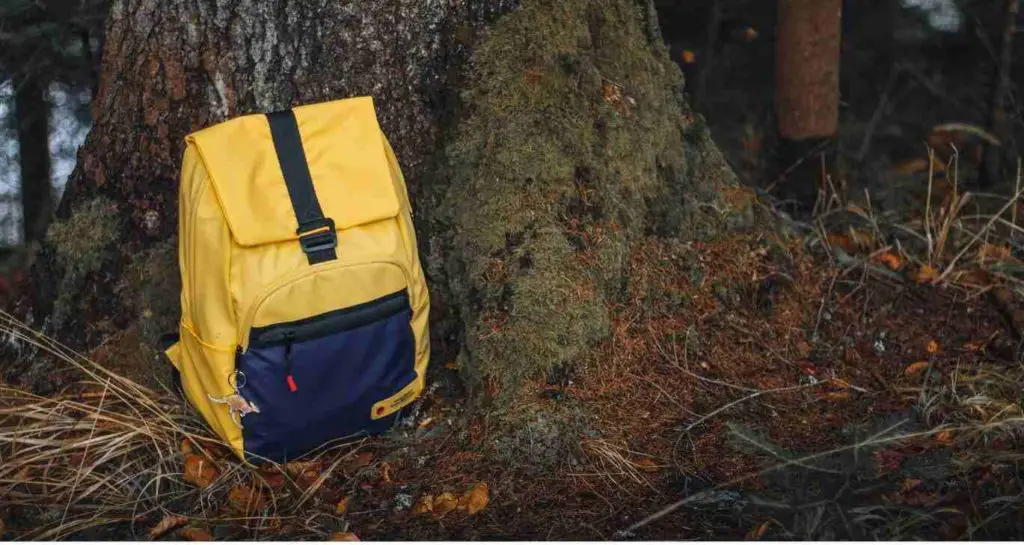 Best Backpack for Gym and Work Top 8 Picks That Will Fit Your