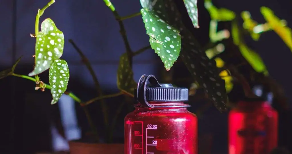 12 Useful Reasons Why Are Nalgene Bottles Good